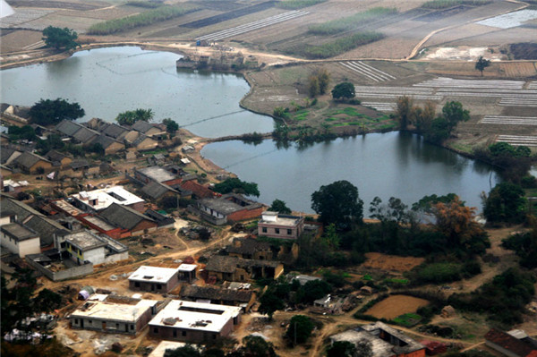 土壤水分對葉片特性有什么影響？