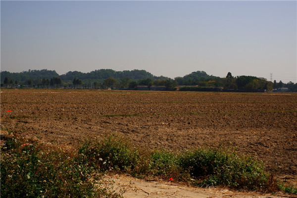 土壤水含量的變化對植物有哪些影響？