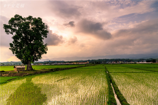 土壤墑情速測(cè)儀的使用效果怎么樣？