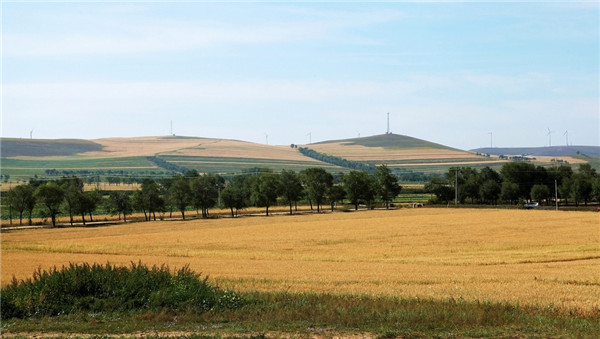 土壤墑情監(jiān)測(cè)站的分類和特點(diǎn)分析 土壤墑情監(jiān)測(cè)站的分類和特點(diǎn)分析