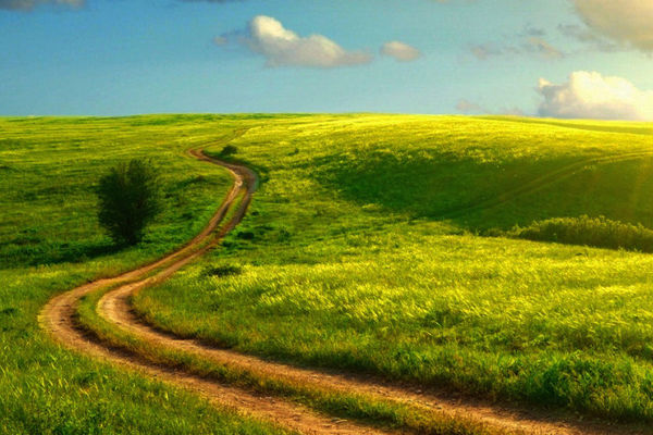 土壤墑情監(jiān)測系統(tǒng) 土壤墑情監(jiān)測系統(tǒng)