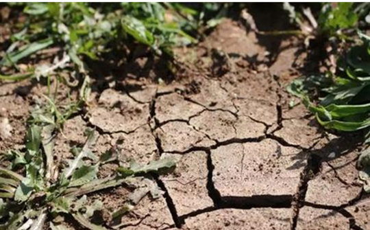 土壤墑情 土壤墑情