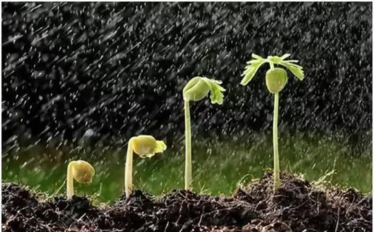 土壤墑情監(jiān)測系統(tǒng) 土壤墑情監(jiān)測系統(tǒng)