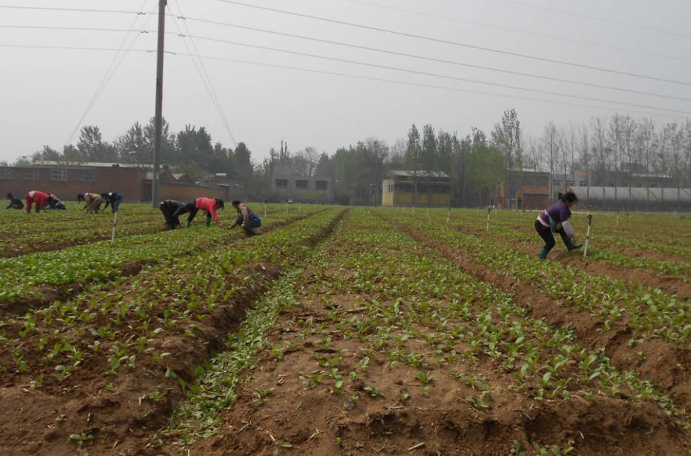 土壤含水量是如何計(jì)算的？