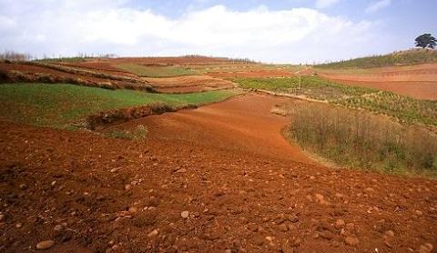 取樣方式不同對土壤墑情監(jiān)測精度有影響嗎？