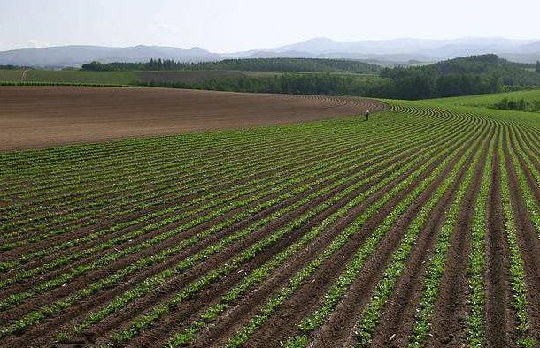 神經(jīng)網(wǎng)絡(luò)法能用于土壤墑情預(yù)測嗎？