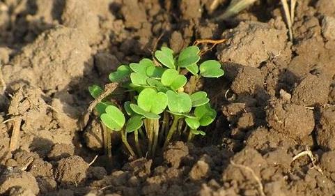 有了物聯(lián)網(wǎng)，土壤墑情監(jiān)測(cè)系統(tǒng)才有了“生命”！