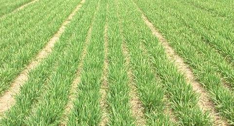 土壤墑情監(jiān)測系統(tǒng)在防汛抗旱中的應(yīng)用 土壤墑情監(jiān)測系統(tǒng)在防汛抗旱中的應(yīng)用