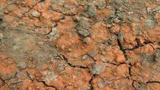 土壤墑情監(jiān)測站在濰坊地區(qū)的應(yīng)用 土壤墑情監(jiān)測站在濰坊地區(qū)的應(yīng)用