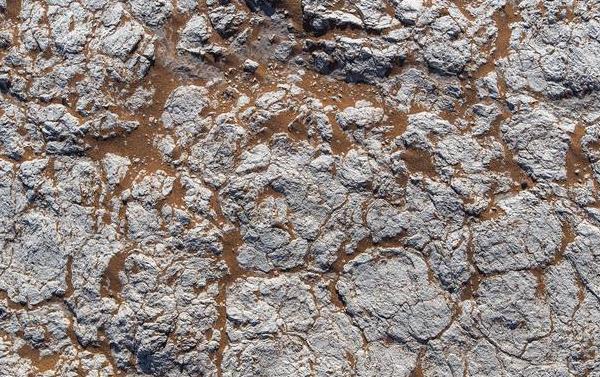 比色法快速測(cè)定土壤含水量 比色法快速測(cè)定土壤含水量